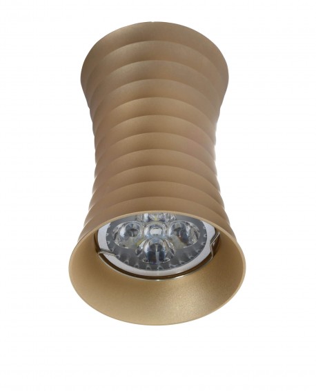 OPRAWA NATYNKOWA SPOT TUBA ZŁOTA NORA
