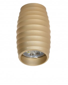 OPRAWA NATYNKOWA SPOT TUBA ZŁOTA BORA R2