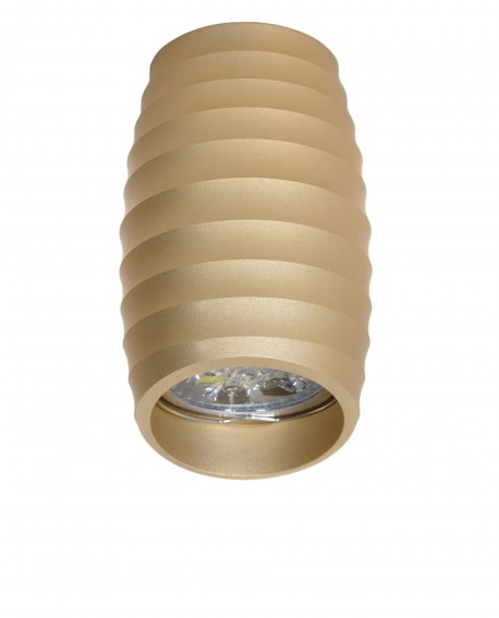 OPRAWA NATYNKOWA SPOT TUBA ZŁOTA BORA R2