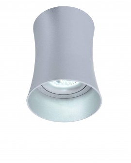 OPRAWA NATYNKOWA SPOT TUBA SREBRNA TERA R1