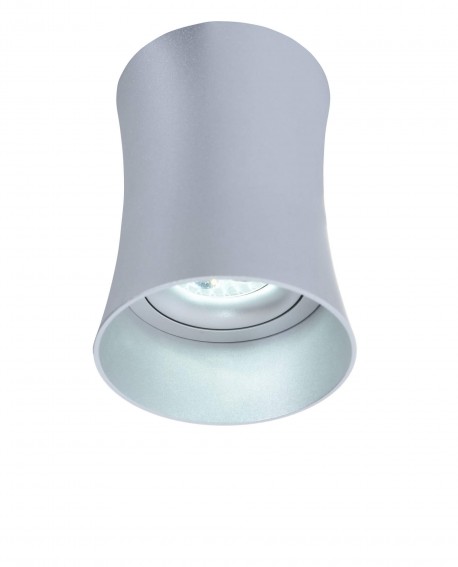 OPRAWA NATYNKOWA SPOT TUBA SREBRNA TERA R1