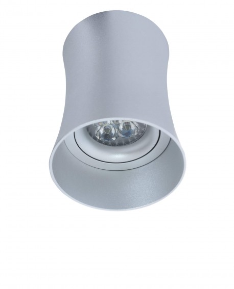 OPRAWA NATYNKOWA SPOT TUBA SREBRNA TERA R1