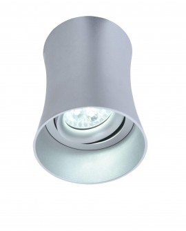 OPRAWA NATYNKOWA SPOT TUBA SREBRNA TERA R1