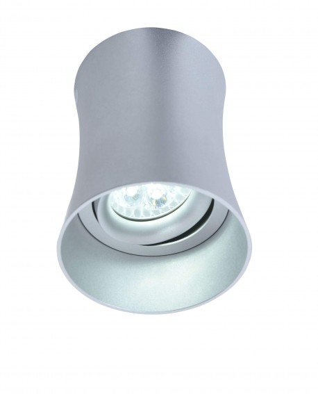 OPRAWA NATYNKOWA SPOT TUBA SREBRNA TERA R1