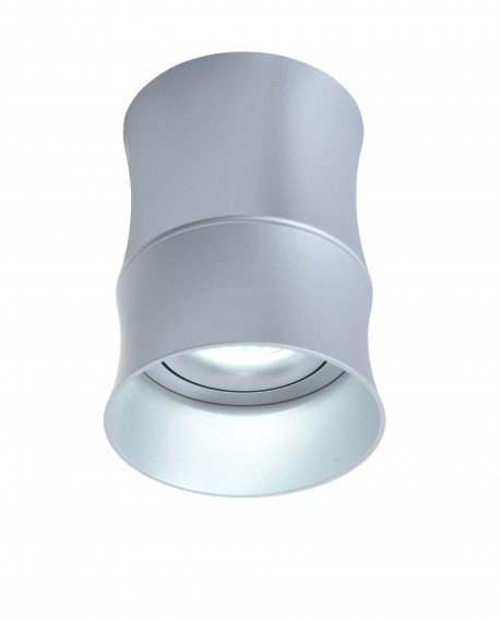 OPRAWA NATYNKOWA SPOT TUBA SREBRNA TERA R2