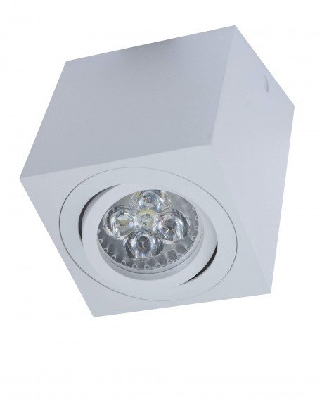 OPRAWA NATYNKOWA SPOT TUBA SREBRNA DERA R1