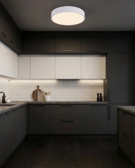 nowoczesna lampa sufitowa typu plafon w kolorze białym idealna do kuchni z prostą aranżacją NEVO D40 od lampit