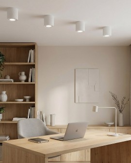 minimalistyczna oprawa sufitowa natynkowa tuba biała idealna do oświetlenia akcentowego wnętrza TIGO W1 producent lampit