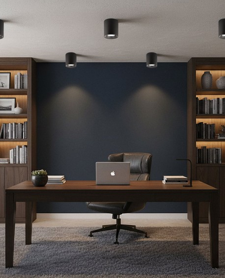 oprawa natynkowa spot tuba czarna na suficie Lampit prezentuje model NURI W1 w aranżacji gabinetu