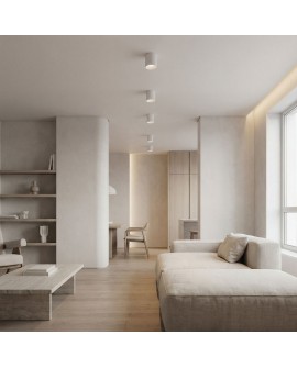 biała oprawa natynkowa spot tuba do sufitu nowoczesna forma do wnętrz producent Lampit model Nuri W1 do oświetlenia punktowego